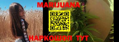 Альфа ПВП Дубна