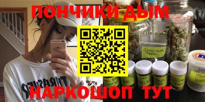 Альфа ПВП Дубна