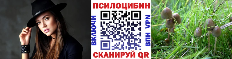 дарнет шоп  Каменск-Уральский  Псилоцибиновые грибы Psilocybine cubensis 