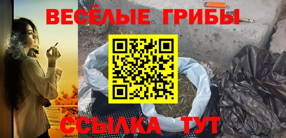 Каменск-Уральский  купить наркотик  Вход с VPN  Галлюциногенные грибы прущие грибы 